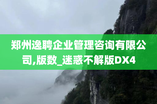 郑州逸聘企业管理咨询有限公司,版数_迷惑不解版DX4