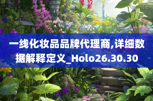 一线化妆品品牌代理商,详细数据解释定义_Holo26.30.30