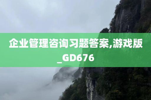 企业管理咨询习题答案,游戏版_GD676