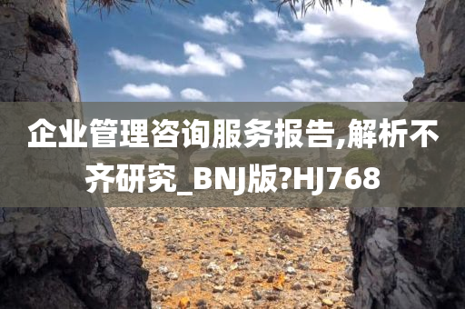 企业管理咨询服务报告,解析不齐研究_BNJ版?HJ768