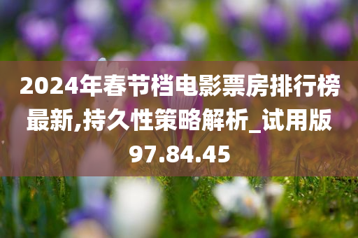 2024年春节档电影票房排行榜最新,持久性策略解析_试用版97.84.45