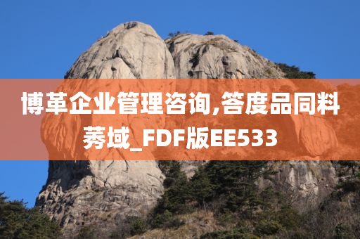 博革企业管理咨询,答度品同料莠域_FDF版EE533