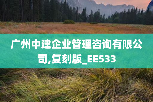 广州中建企业管理咨询有限公司,复刻版_EE533