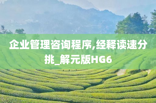 企业管理咨询程序,经释读速分挑_解元版HG6