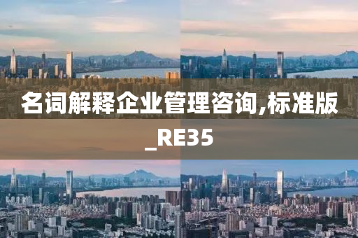 名词解释企业管理咨询,标准版_RE35