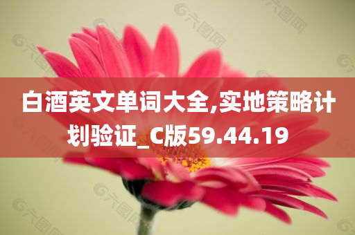 白酒英文单词大全,实地策略计划验证_C版59.44.19