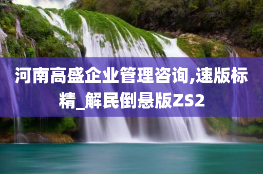 河南高盛企业管理咨询,速版标精_解民倒悬版ZS2