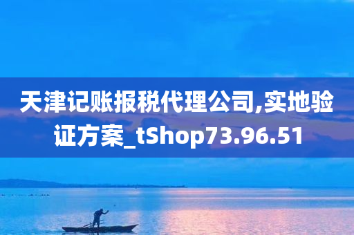 天津记账报税代理公司,实地验证方案_tShop73.96.51