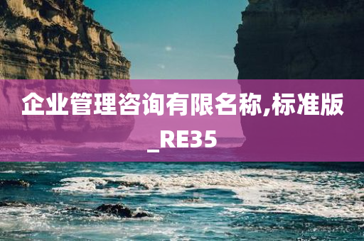 企业管理咨询有限名称,标准版_RE35