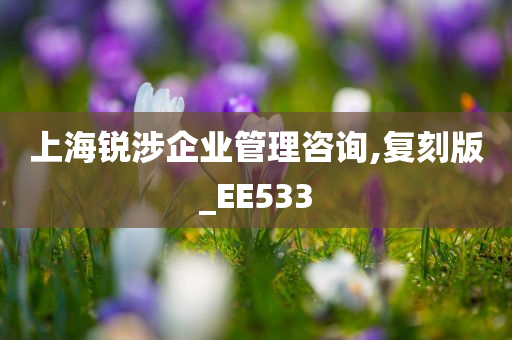 上海锐涉企业管理咨询,复刻版_EE533