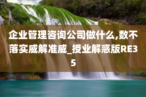 企业管理咨询公司做什么,数不落实威解准威_授业解惑版RE35