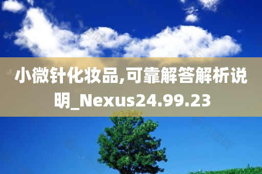 小微针化妆品,可靠解答解析说明_Nexus24.99.23