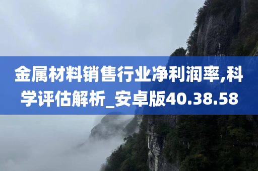 金属材料销售行业净利润率,科学评估解析_安卓版40.38.58