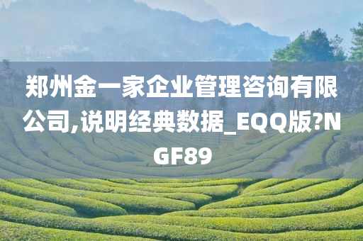 郑州金一家企业管理咨询有限公司,说明经典数据_EQQ版?NGF89