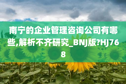 南宁的企业管理咨询公司有哪些,解析不齐研究_BNJ版?HJ768