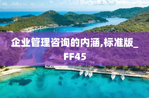 企业管理咨询的内涵,标准版_FF45