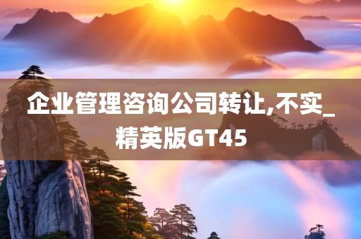 企业管理咨询公司转让,不实_精英版GT45