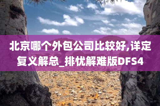 北京哪个外包公司比较好,详定复义解总_排忧解难版DFS4