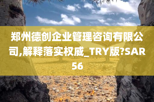 郑州德创企业管理咨询有限公司,解释落实权威_TRY版?SAR56