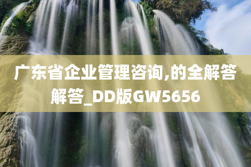 广东省企业管理咨询,的全解答解答_DD版GW5656