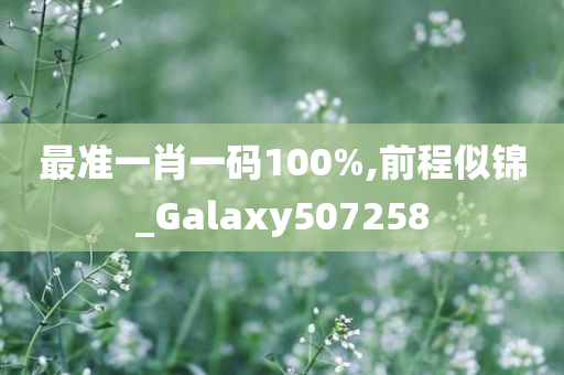 最准一肖一码100%,前程似锦_Galaxy507258