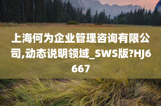 上海何为企业管理咨询有限公司,动态说明领域_SWS版?HJ6667