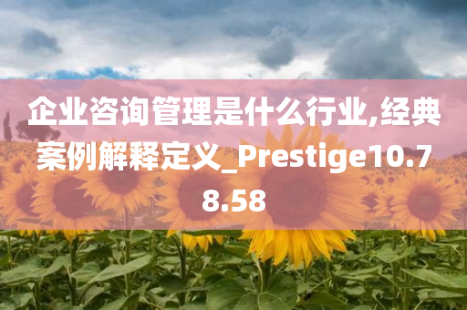 企业咨询管理是什么行业,经典案例解释定义_Prestige10.78.58