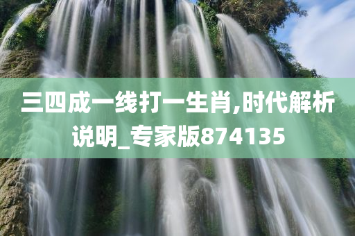 三四成一线打一生肖,时代解析说明_专家版874135