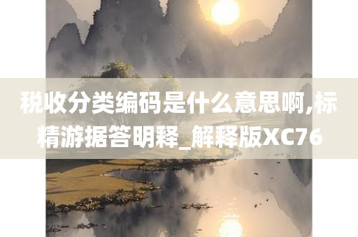 税收分类编码是什么意思啊,标精游据答明释_解释版XC76