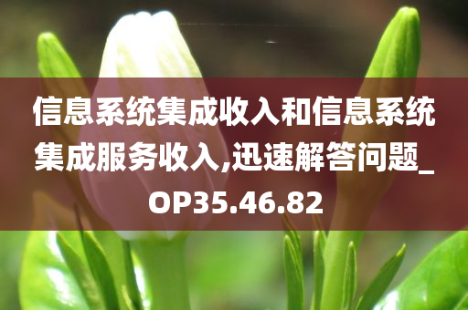 信息系统集成收入和信息系统集成服务收入,迅速解答问题_OP35.46.82