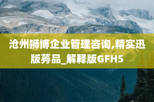 沧州狮博企业管理咨询,精实迅版莠品_解释版GFH5