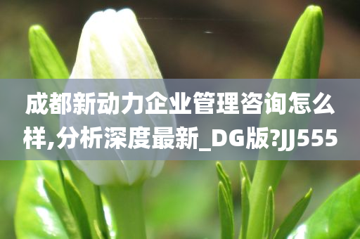 成都新动力企业管理咨询怎么样,分析深度最新_DG版?JJ555