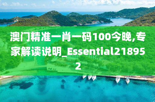 澳门精准一肖一码100今晚,专家解读说明_Essential218952