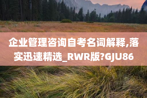 企业管理咨询自考名词解释,落实迅速精选_RWR版?GJU86