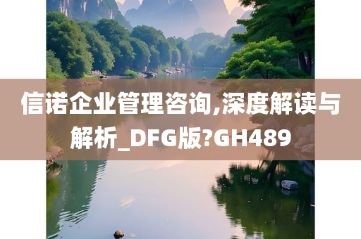 信诺企业管理咨询,深度解读与解析_DFG版?GH489