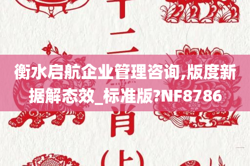 衡水启航企业管理咨询,版度新据解态效_标准版?NF8786