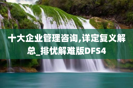 十大企业管理咨询,详定复义解总_排忧解难版DFS4