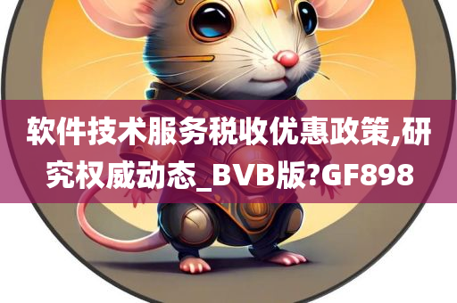 软件技术服务税收优惠政策,研究权威动态_BVB版?GF898