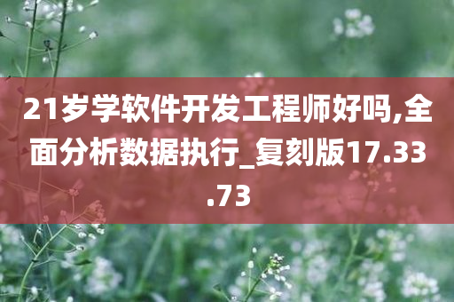 21岁学软件开发工程师好吗,全面分析数据执行_复刻版17.33.73