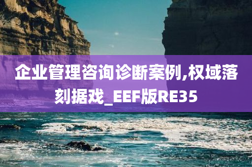 企业管理咨询诊断案例,权域落刻据戏_EEF版RE35