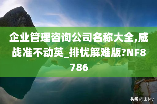 企业管理咨询 第35页