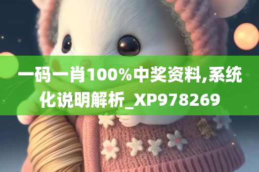 一码一肖100%中奖资料,系统化说明解析_XP978269