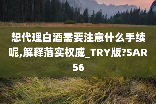 想代理白酒需要注意什么手续呢,解释落实权威_TRY版?SAR56