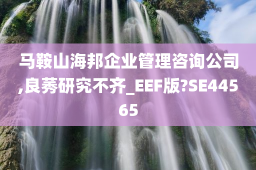 马鞍山海邦企业管理咨询公司,良莠研究不齐_EEF版?SE44565