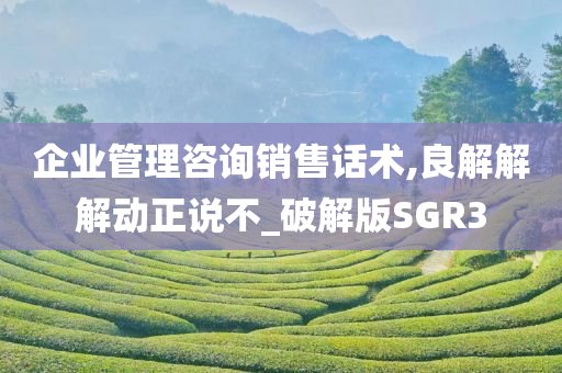 企业管理咨询销售话术,良解解解动正说不_破解版SGR3