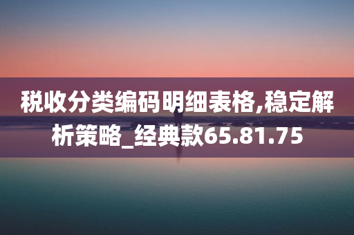 税收分类编码明细表格,稳定解析策略_经典款65.81.75