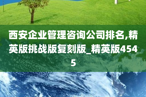 西安企业管理咨询公司排名,精英版挑战版复刻版_精英版4545