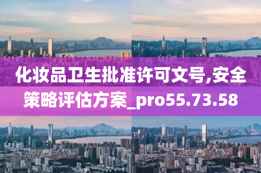 化妆品卫生批准许可文号,安全策略评估方案_pro55.73.58