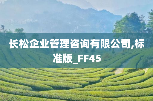 长松企业管理咨询有限公司,标准版_FF45