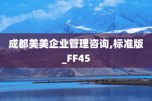 成都美美企业管理咨询,标准版_FF45